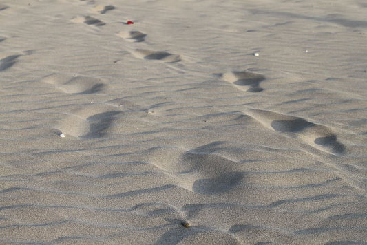 The Benefits of Walking on Sand for Runners: A Scientific Perspective